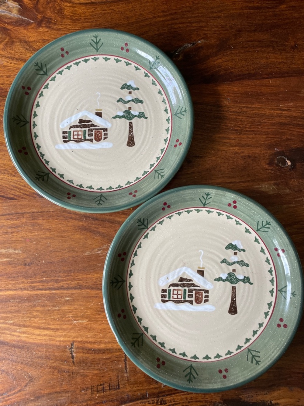 2 Sonoma Life Style Home LODGE 10”Dinner Plates - Log Cabin Wilderness Pine Snow